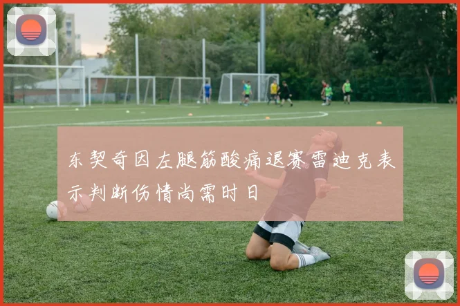 东契奇因左腿筋酸痛退赛雷迪克表示判断伤情尚需时日